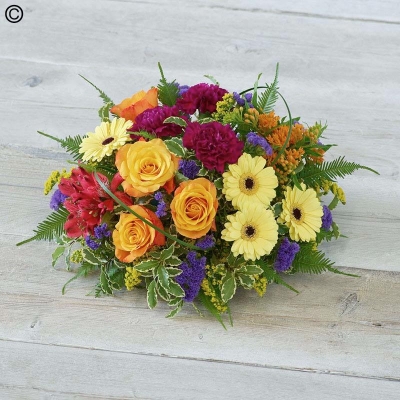 Florist Choice Posy