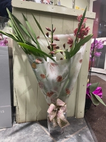 Large Cymbidium Orchid